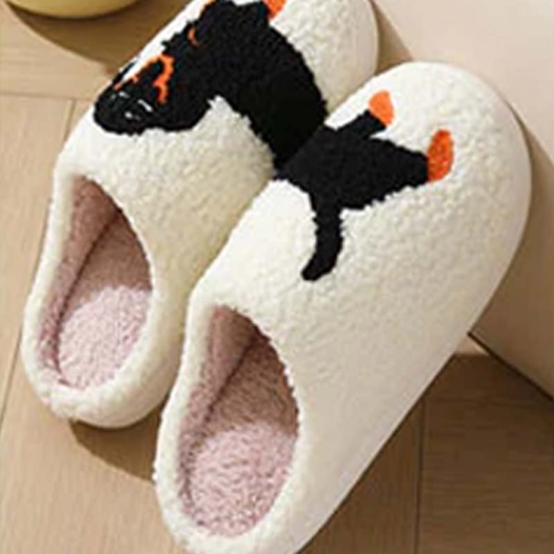 Women's Cute & Warm House Slippers