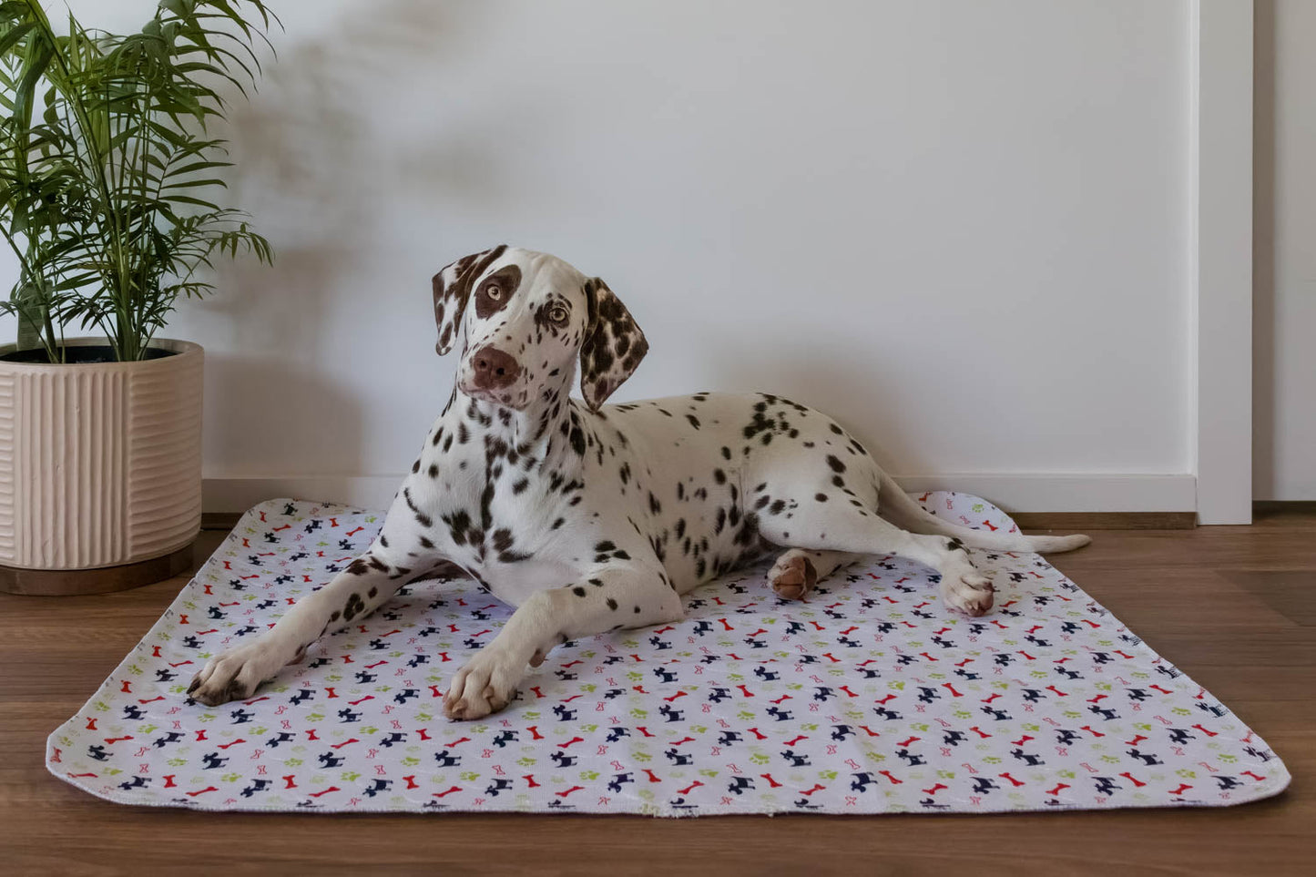 🐶😸Premium Reusable Super Absorbent PuppyPad🐾 (Kitten & Other Pets)