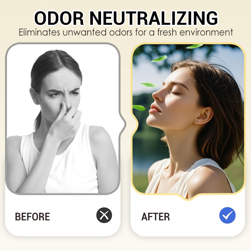 🔥Snow Globe-Shaped Inverted Aromatherapy