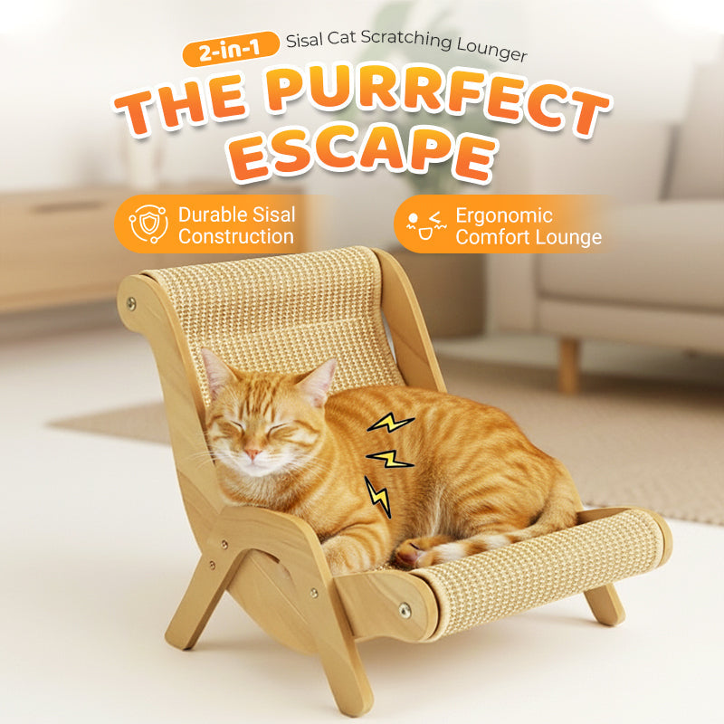 2-in-1 Sisal Cat Scratcher Lounger | Space-Saving & Durable 🐱